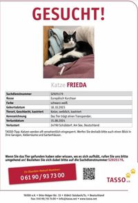 Frieda wird in Rendsburg vermisst